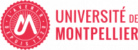 L'innovation en Occitanie : quelle stratégie à Montpellier ?