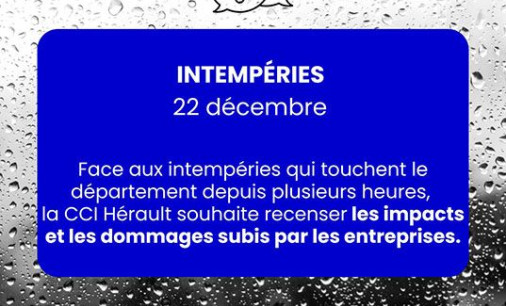 Les déclarations peuvent être effectuées via le formulaire mis en ligne 