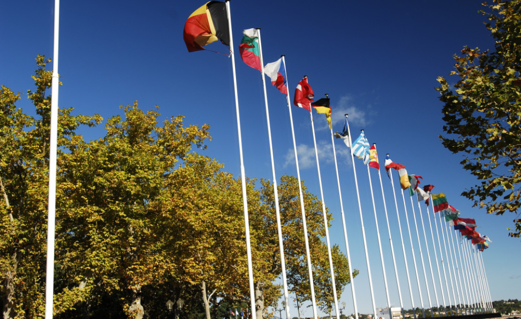 vis-drapeau-vincentdaverio.jpg