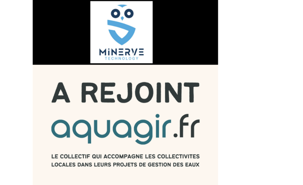 vis-minerve.png
