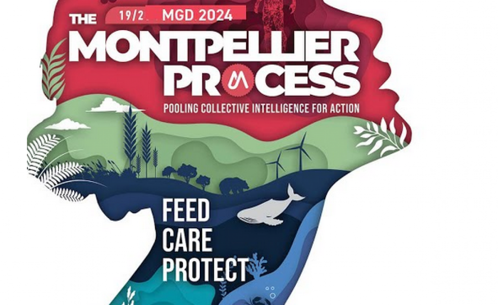  The Montpellier Process - Pooling collective intelligence for action · 19-20 march 2024