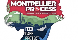 The Montpellier Process - Pooling collective intelligence for action · 19-20 march 2024