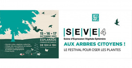 4e édition du Festival SEVE : du 15 au 17 octobre 2021